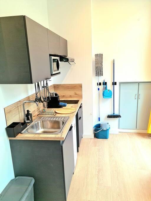 Le Cosy Central Moderne Et Chaleureux Сент Етиен Екстериор снимка