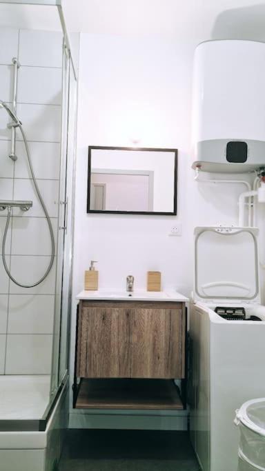 Le Cosy Central Moderne Et Chaleureux Сент Етиен Екстериор снимка